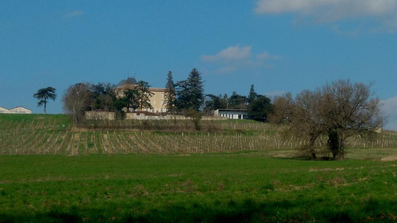 Chateau De Mons Armagnac Caussens Εξωτερικό φωτογραφία