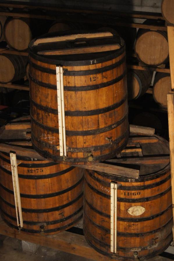 Chateau De Mons Armagnac Caussens Εξωτερικό φωτογραφία