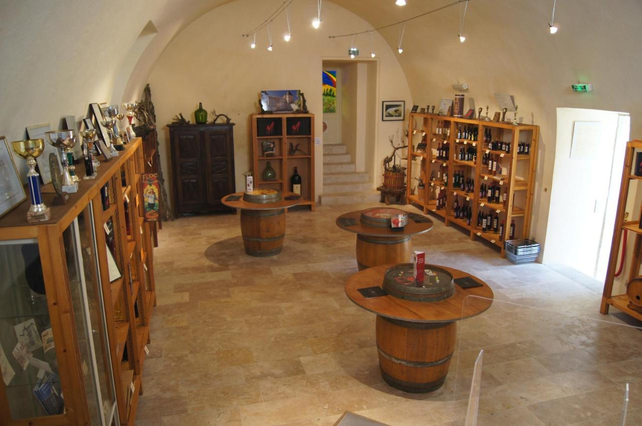 Chateau De Mons Armagnac Caussens Εξωτερικό φωτογραφία