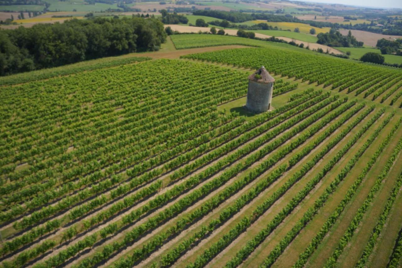 Chateau De Mons Armagnac Caussens Εξωτερικό φωτογραφία