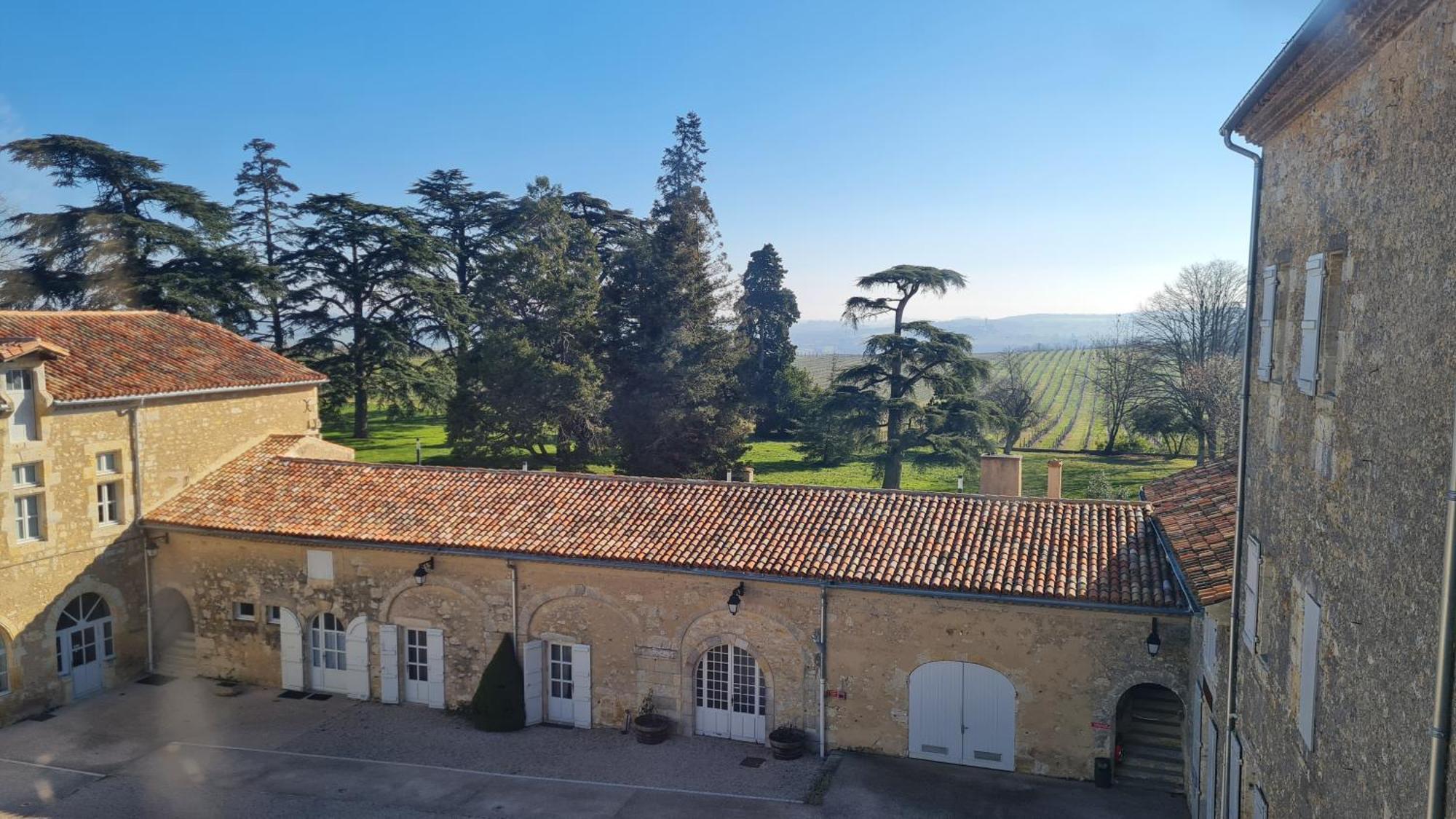 Chateau De Mons Armagnac Caussens Εξωτερικό φωτογραφία